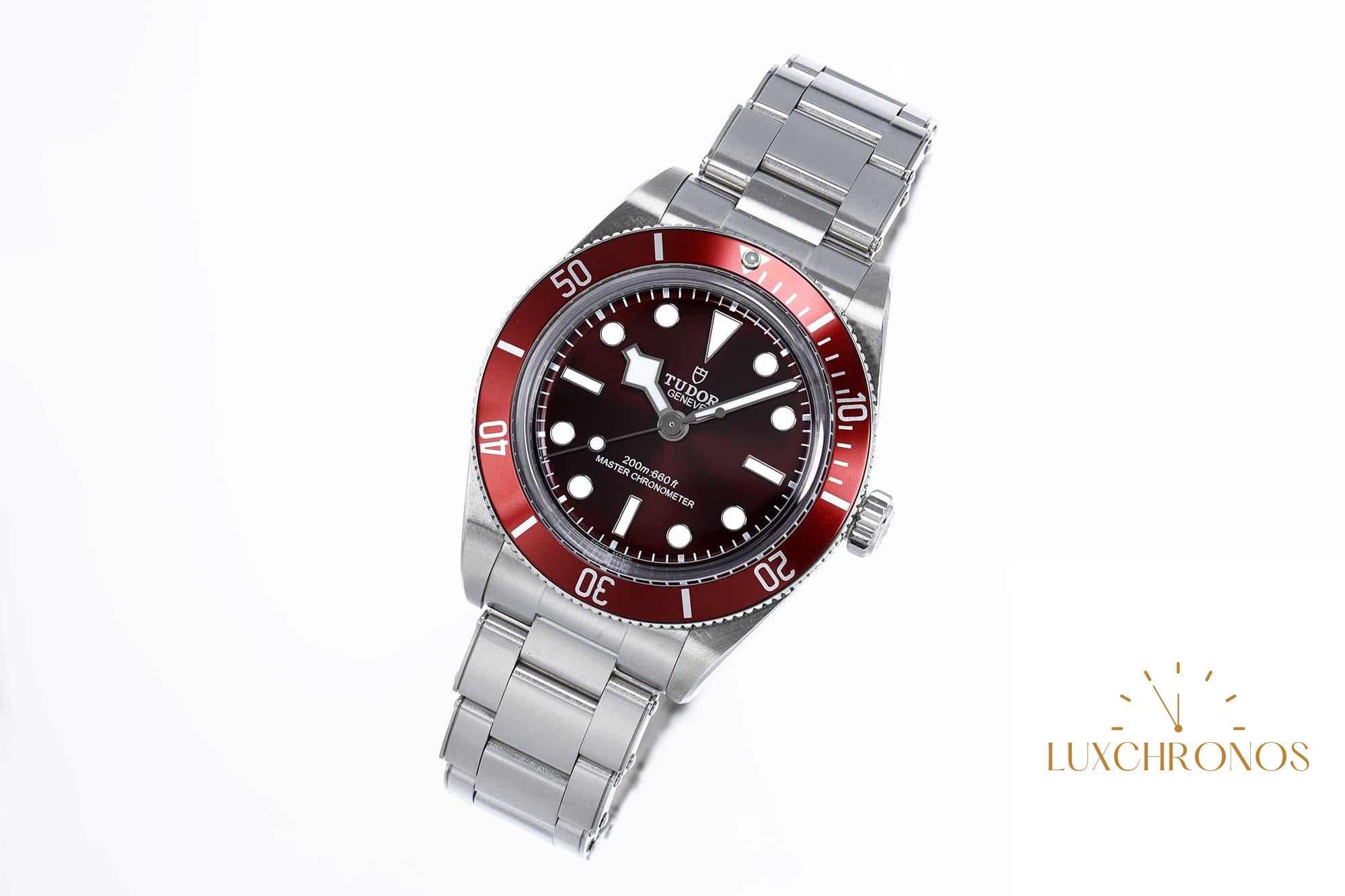 Tudor Black Bay