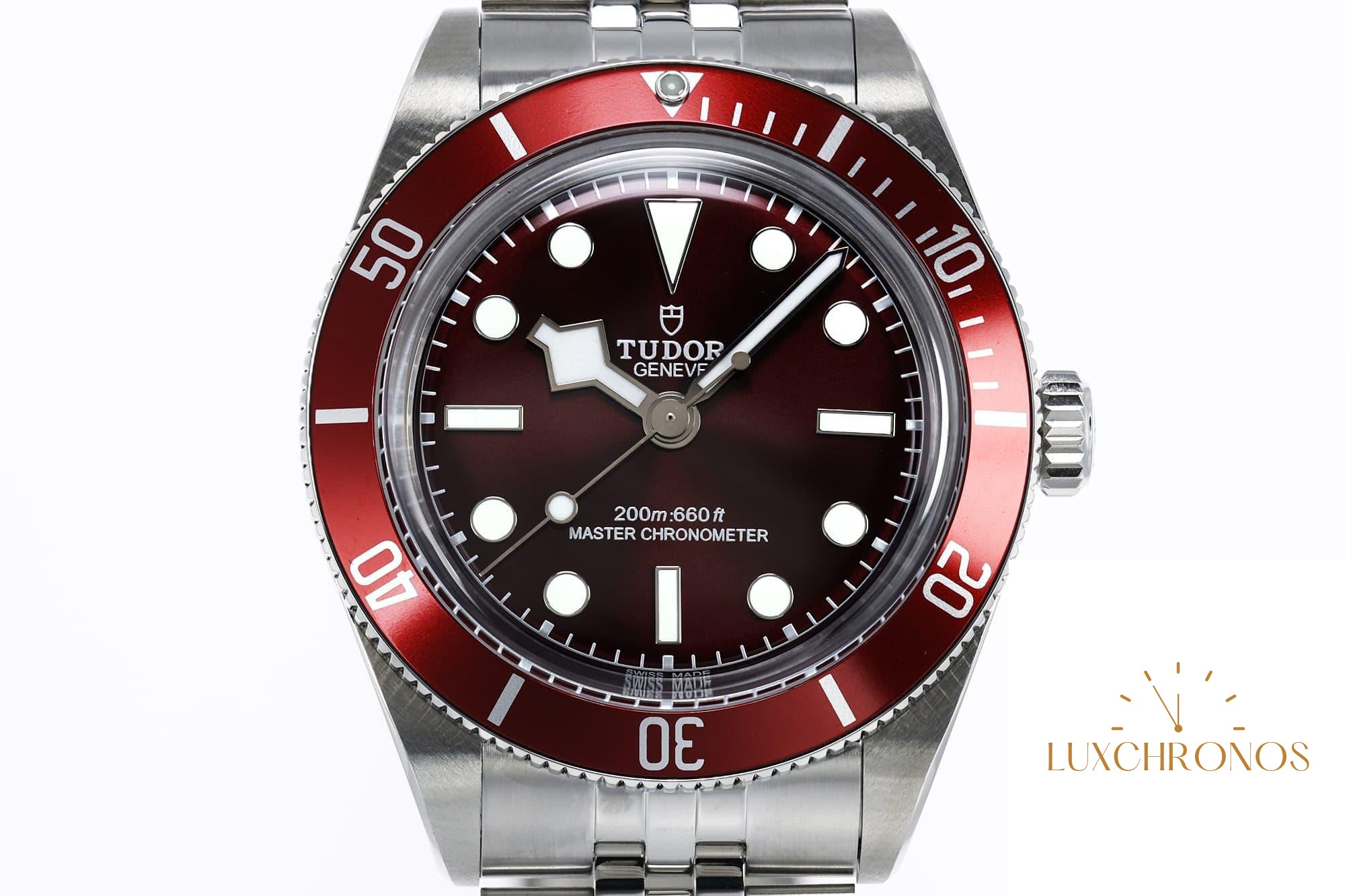 Tudor Black Bay