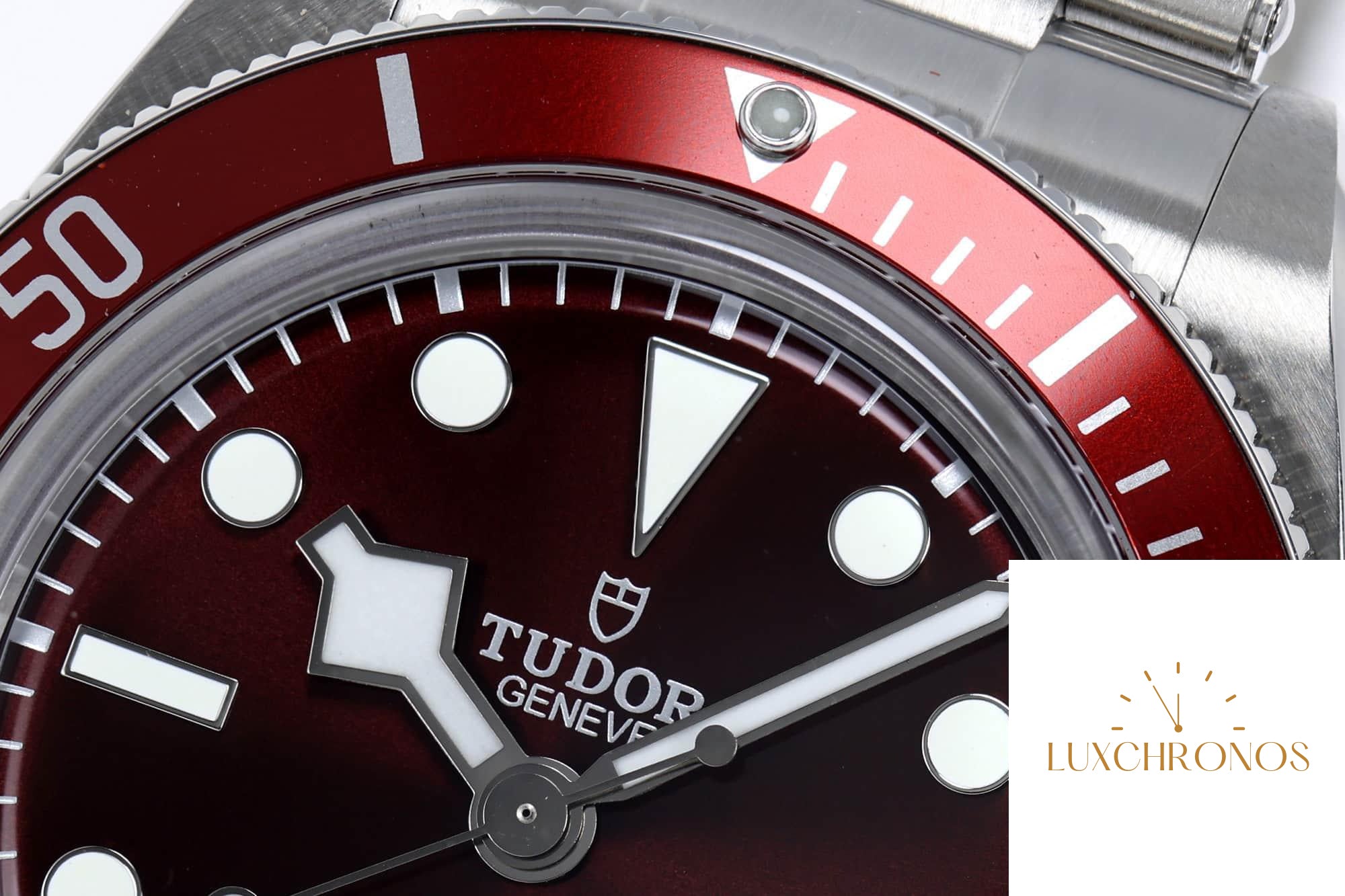 Tudor Black Bay