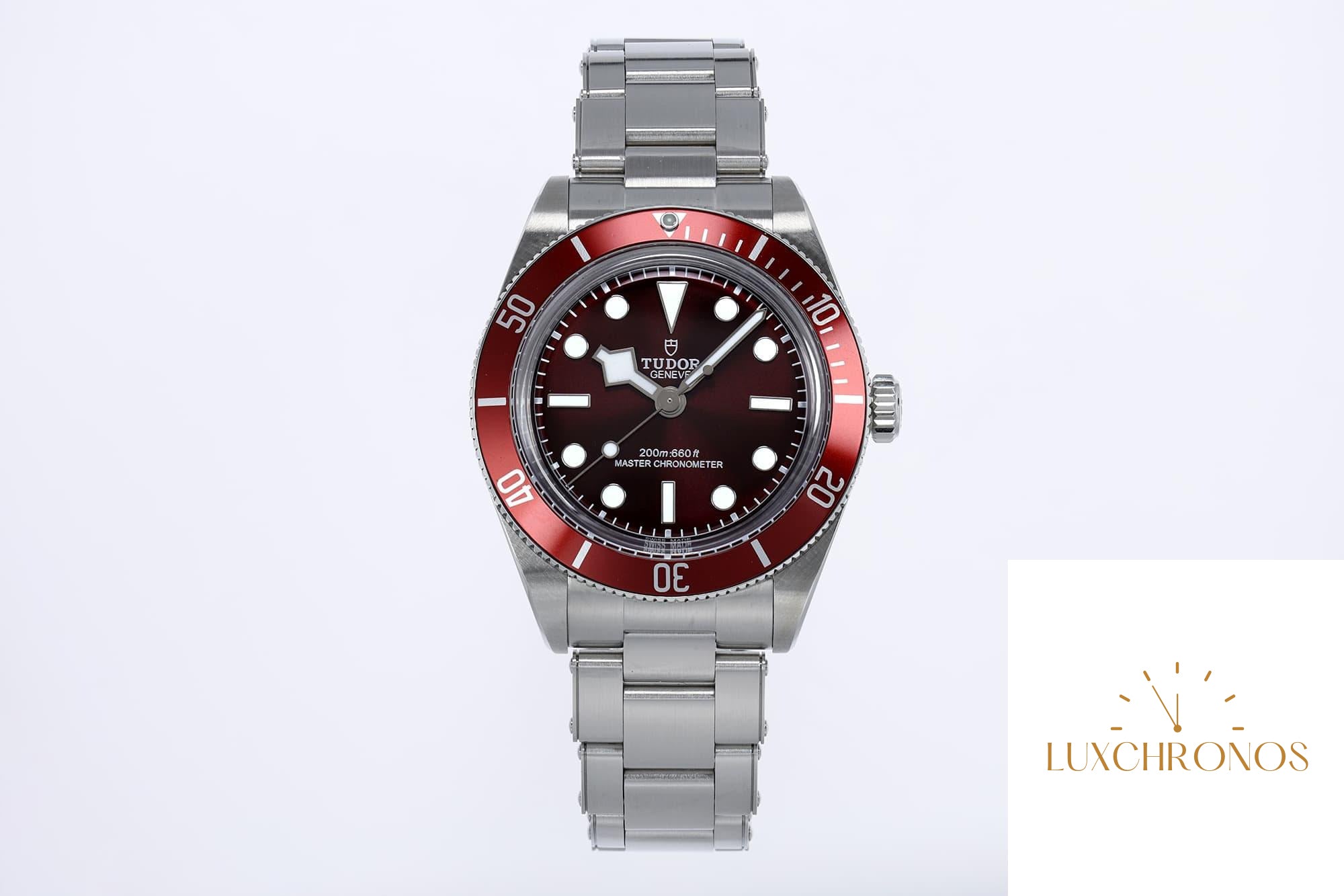 Tudor Black Bay