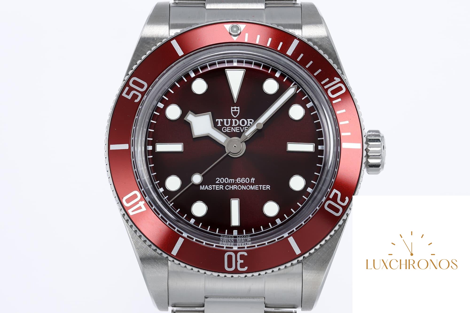Tudor Black Bay