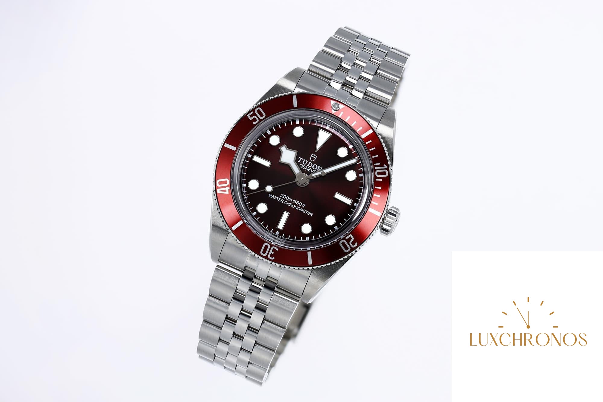Tudor Black Bay