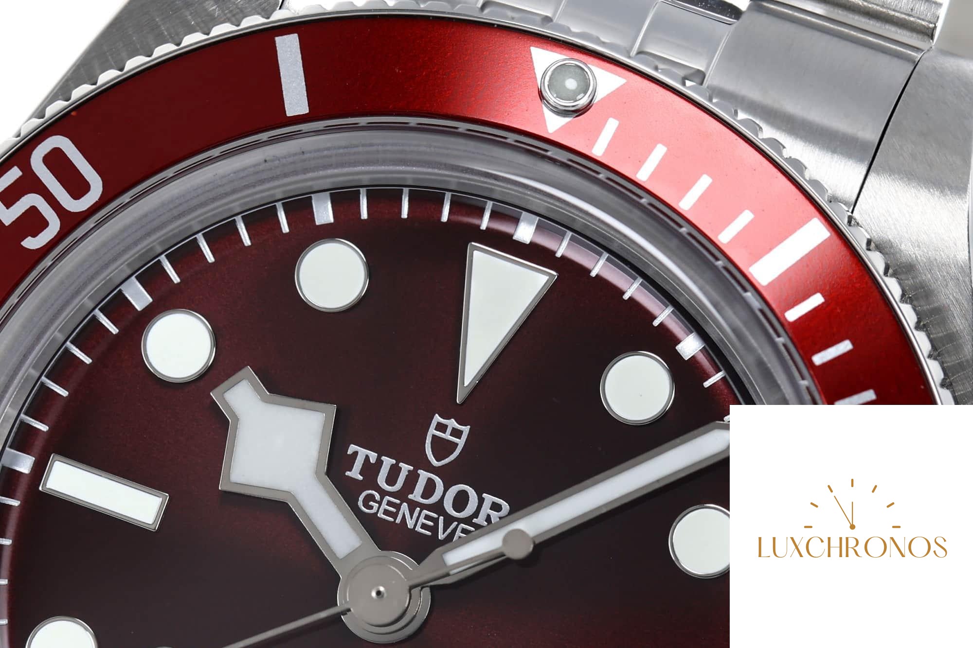 Tudor Black Bay