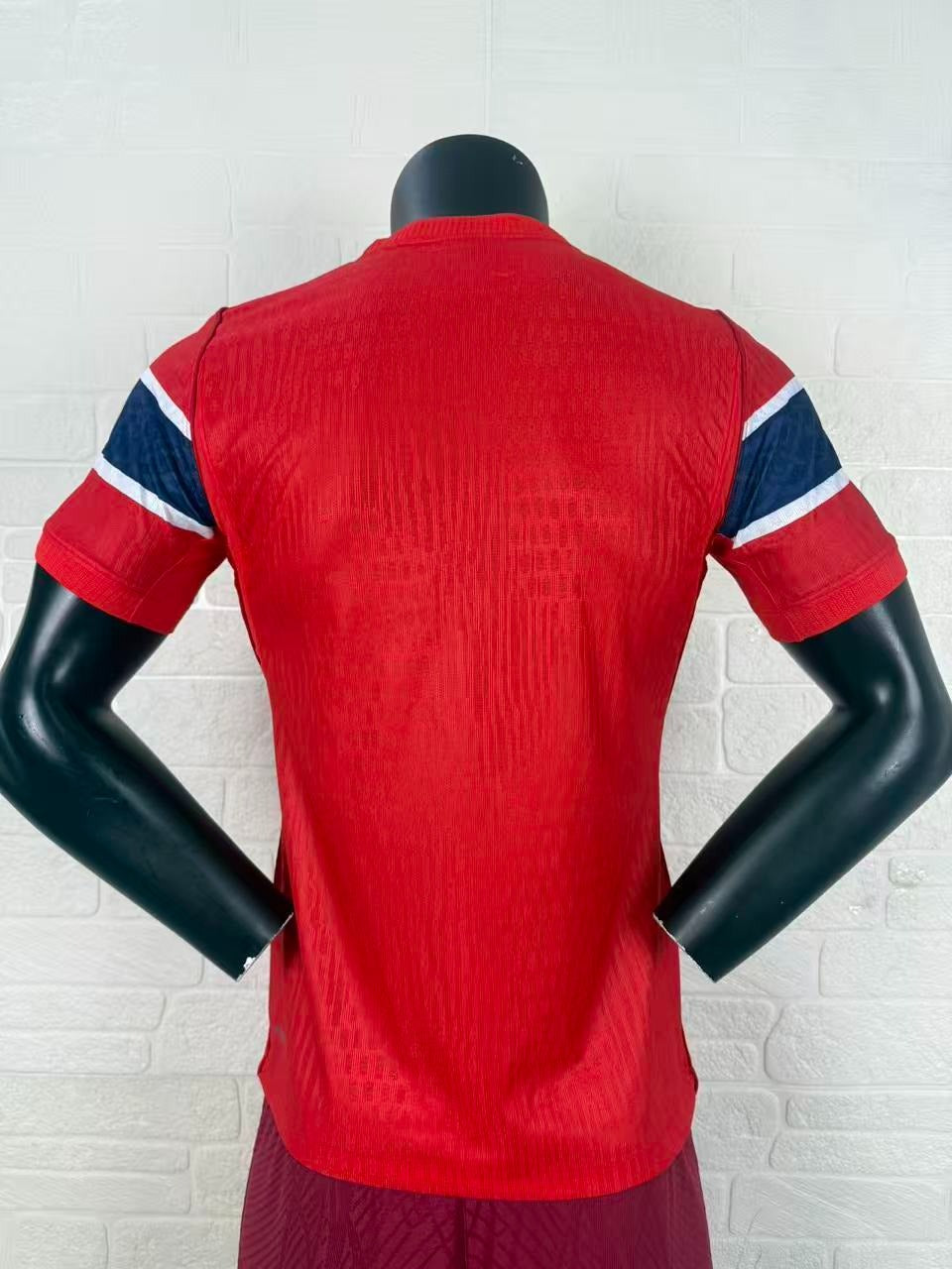 Norway Home Player Jersey - Short Sleeve